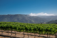 16 Oak Meadow Lane Carmel Valley CA 1