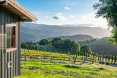 16 Oak Meadow Lane Carmel Valley CA 17