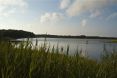 36 Island Island Creek Road Southampton 31