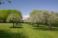 Westerly 500 Ox Pasture Road Southampton 3