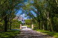 559oxpasture1