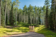 82 Winding Way Road, Aspen 25