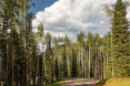 82 Winding Way Road, Aspen 28
