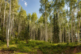 82 Winding Way Road, Aspen 29