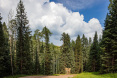 82 Winding Way Road, Aspen 30