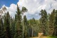 82 Winding Way Road, Aspen 31