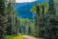 82 Winding Way Road, Aspen 32