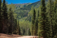82 Winding Way Road, Aspen 33