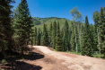 82 Winding Way Road, Aspen 34