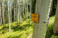 82 Winding Way Road, Aspen 39