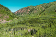 82 Winding Way Road, Aspen 40