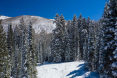 82 Winding Way Road, Aspen 45