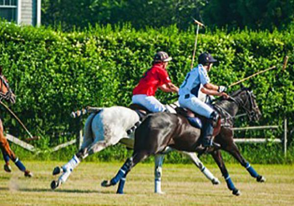 Southampton Polo Club 3