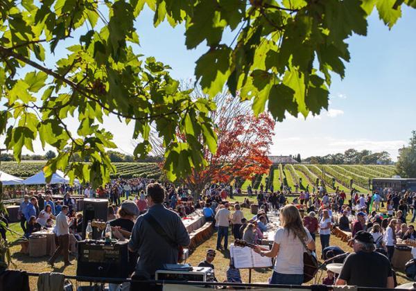 Wolfer Fall Music Festival 4