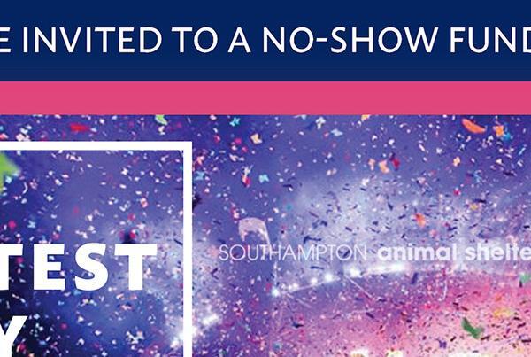 Animal Shelters Blog