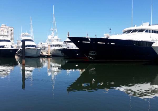 Virtual Palm Beach International Boat Show 2020 5