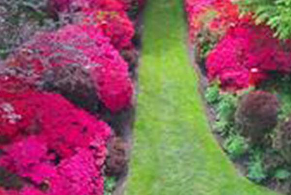 Longhouse Reserve Blog