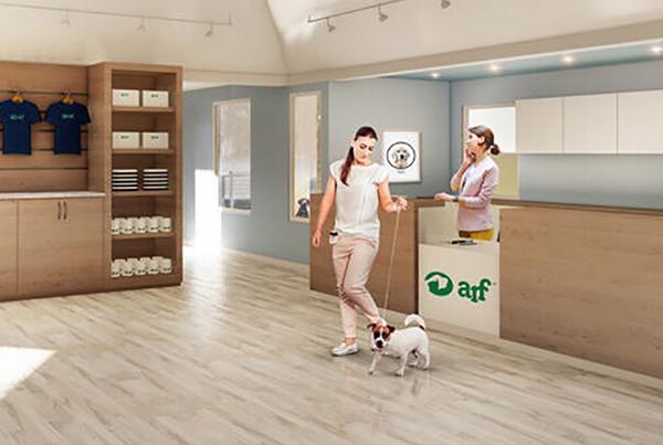 Animal Rescue Fund Blog