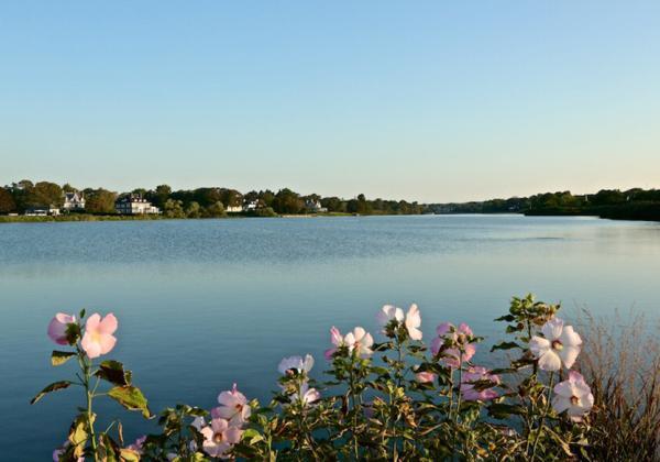Lake Agawam Conservancy