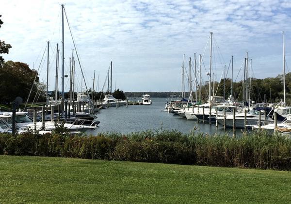 Hampton Lifeguard Association Benefit 2