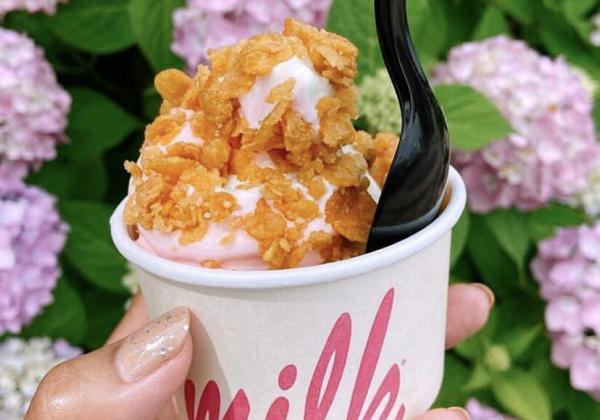 Milk Bar At Gurney’s