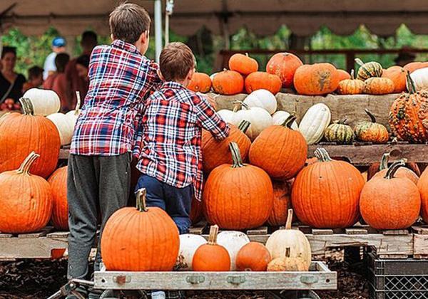 Montauk Fall Festival Blog