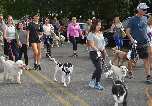Stroll To The Sea Dog Walk
