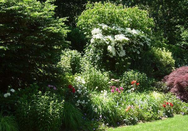 Dan’s Papers Home & Garden Show Main