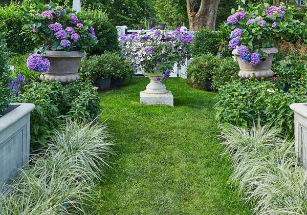 Garden Delights Main