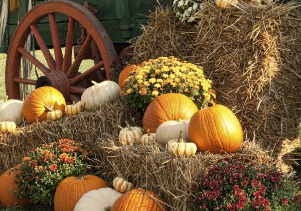Autumn Antique Wagon and Pumpkin Display 2022 Main