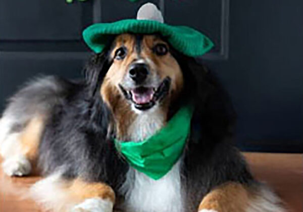 stpatricksday