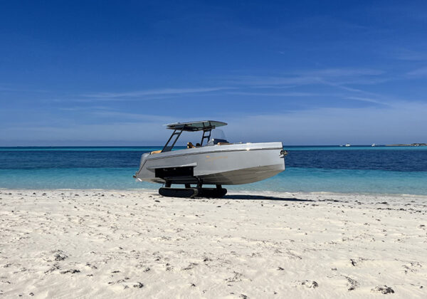 iguana yachts