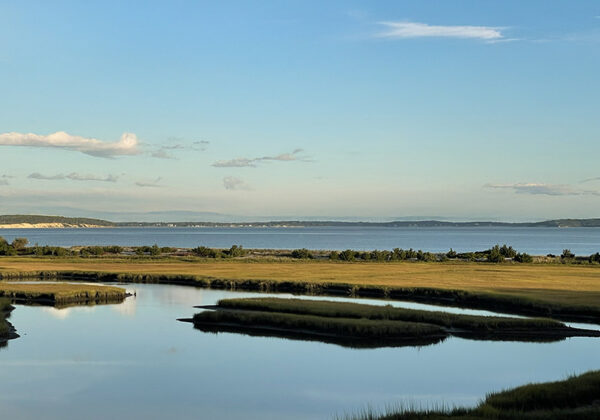 davis creek october 2025