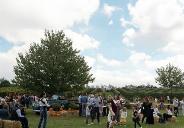 wolfferestateharvestparty2025