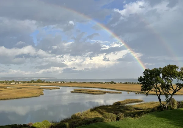 Davis Creek November 2025