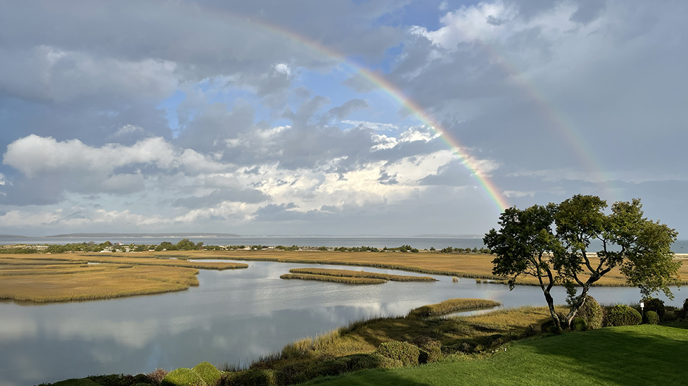 Davis Creek November 2025