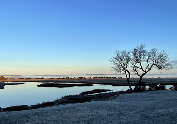 davis creek december 2025