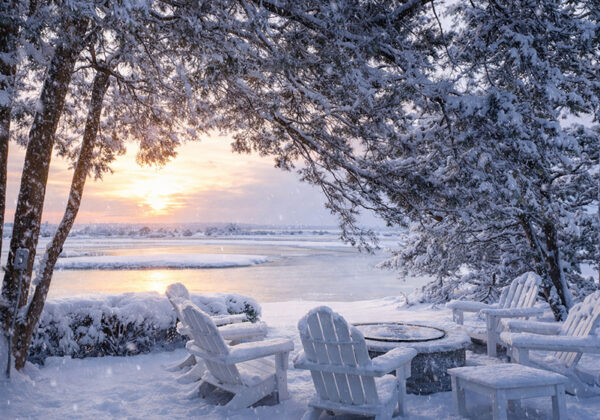 davis creek february 2025