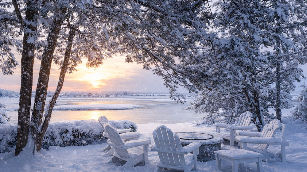 davis creek february 2025