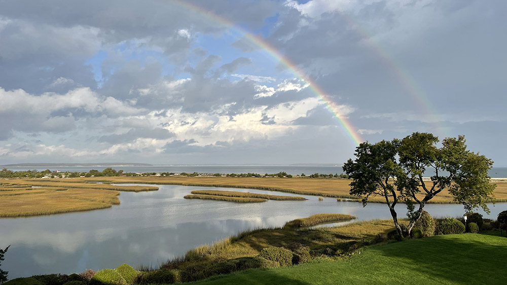 davis creek march 2026