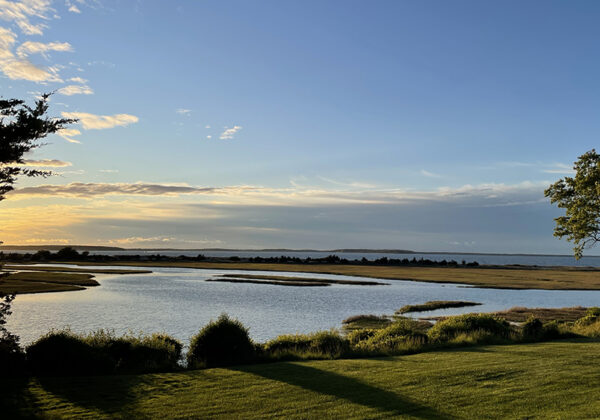 davis creek april 2026