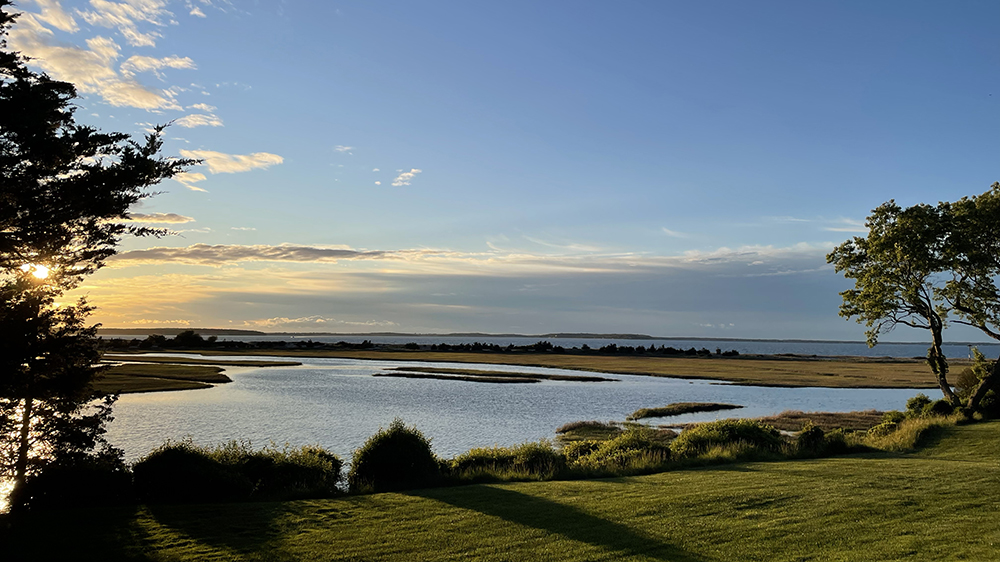 davis creek april 2026