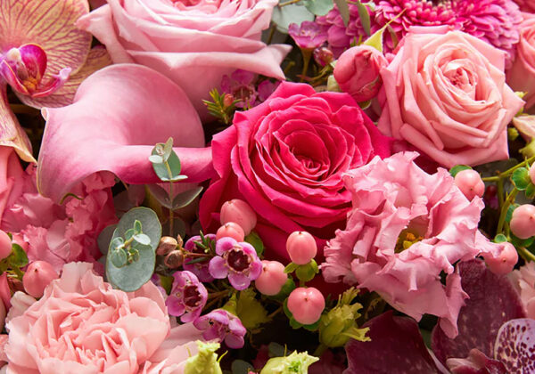 happy mothers day 2026