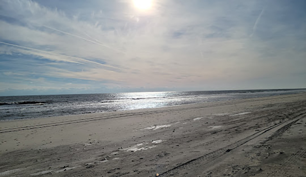 hamptonsbays1